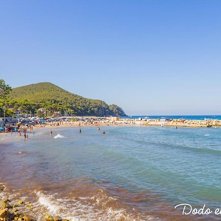 Lovable Studio Close To The Beach - Dodo Et Tartine Daire Saint-Cyr-sur-Mer Dış mekan fotoğraf
